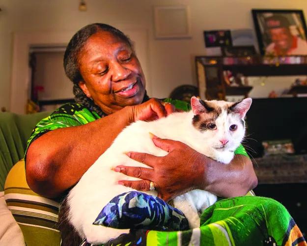 Cost management for a healthy, happy furry friend